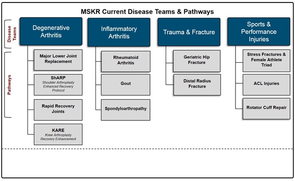 Disease team structure chart